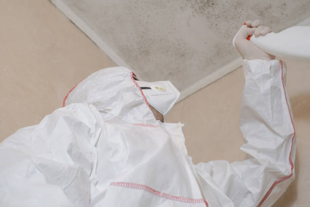 Best Residential Mold Removal  in Eclectic, AL